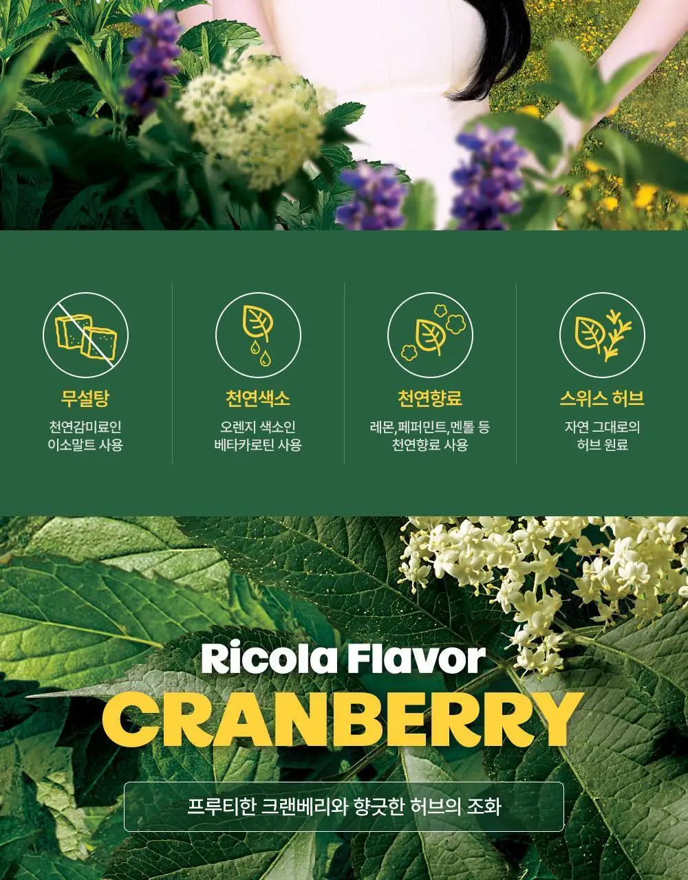 [NEW] 리콜라 크랜베리 40g 상세페이지 2